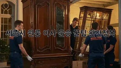 세종시 원룸 이사, 운송 꿀팁 완전정복!